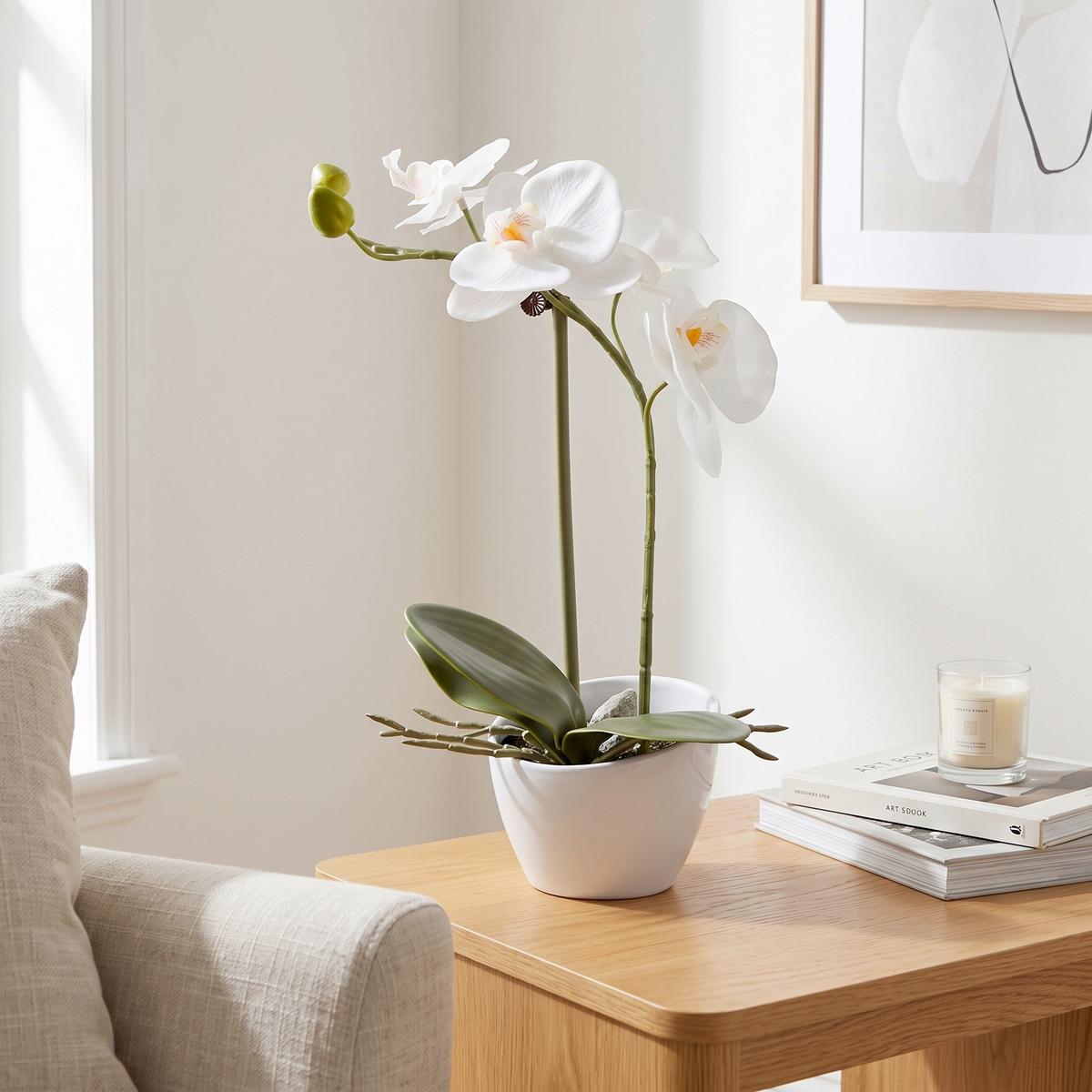 UMĚLÁ ROSTLINA ORCHIDEE II -BASED- - bílá/zelená, Konvenční, plast (33cm) - Based