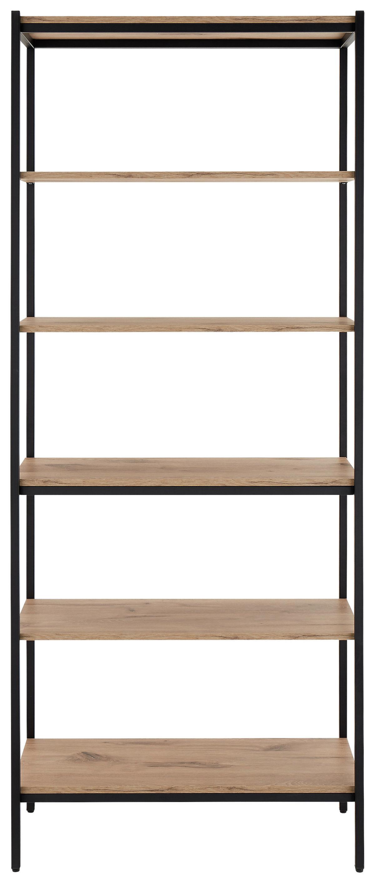 REGÁL RACK - čierna/farba duba, Basics, kov/kompozitné drevo (80/195/40cm) - P & B
