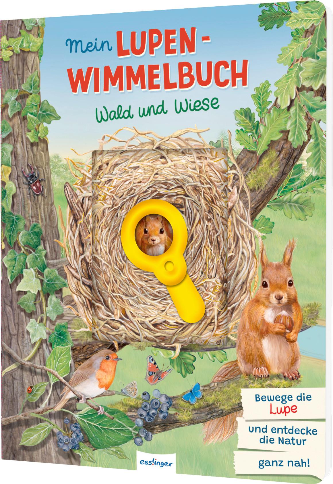 BUCH LUPEN-WIMMELBUCH WALD - Multicolor, Basics, Papier (24,5/32/1,4cm)