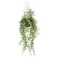 Umelá rastliny Dischidia, V: 60cm - zelená, Basics, plast (60cm)