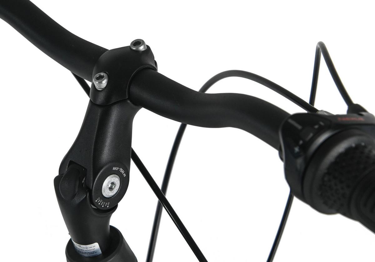 Damenrad Dacapo Padova Schwarz 28 Zoll, Rh 48 cm - Schwarz, Basics, Metall (25/140/60cm)