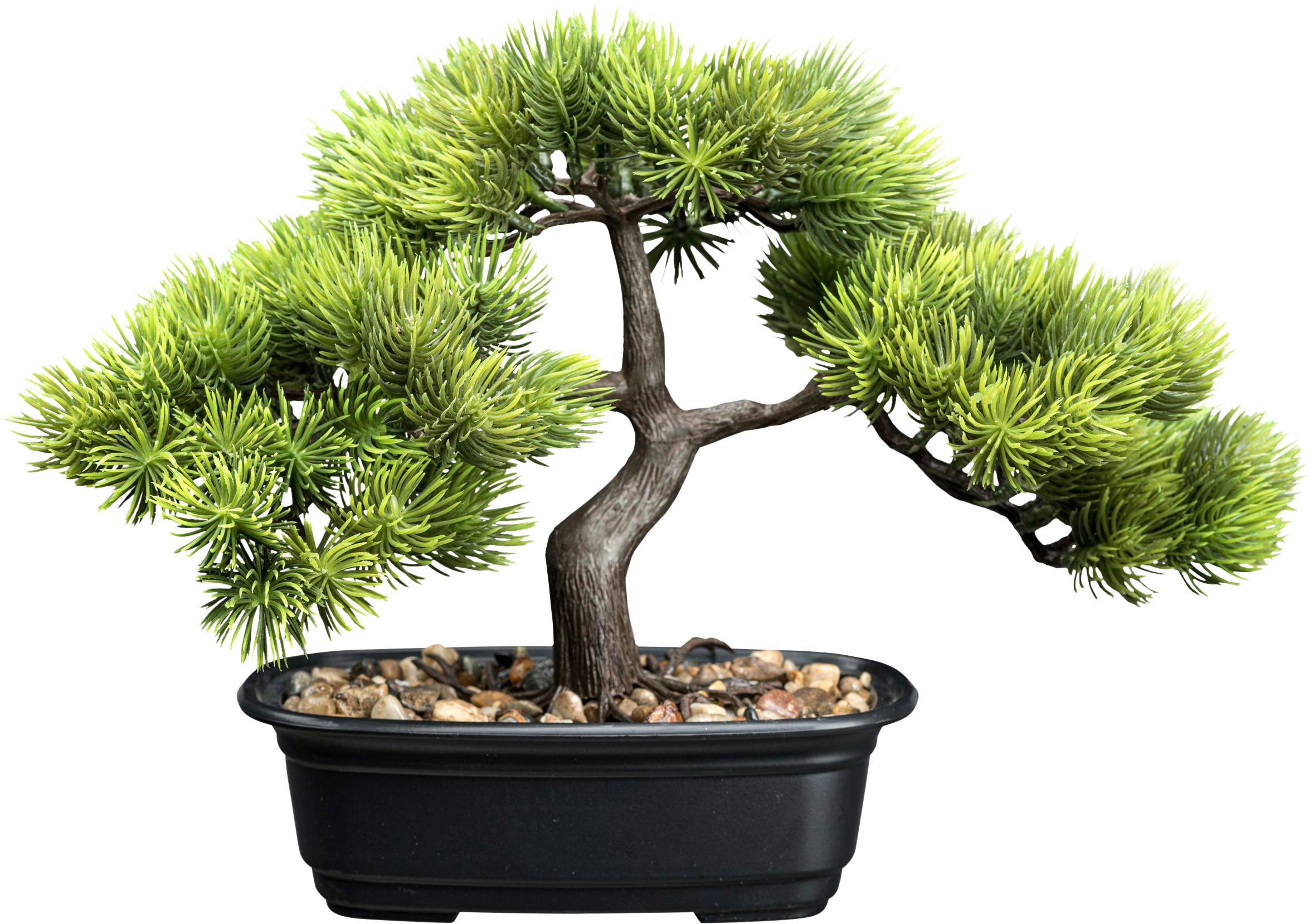 Kunstpflanze Bonsai inkl. Topf D: 17 cm - Schwarz/Braun, Design, Kunststoff (23cm) - P & B