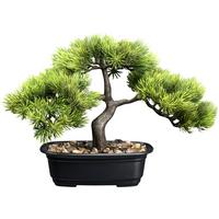 Kunstpflanze Bonsai inkl. Topf D: 17 cm - Schwarz/Braun, Design, Kunststoff (23cm) - P & B