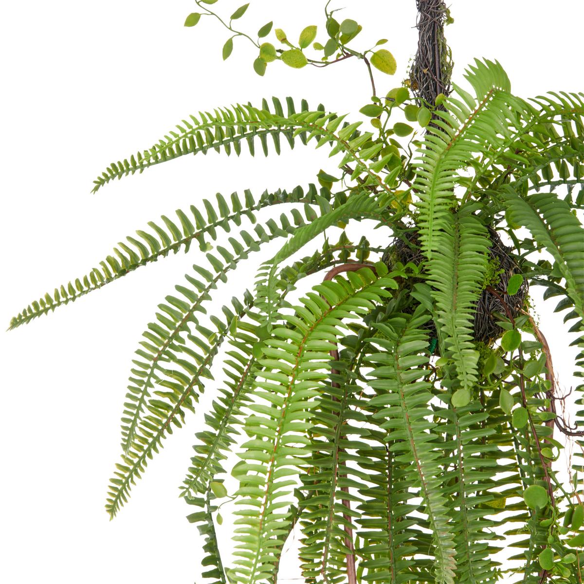 Umělá rostlina FARNHÄNGER II - zelená, Lifestyle, plast (100cm) - Mömax