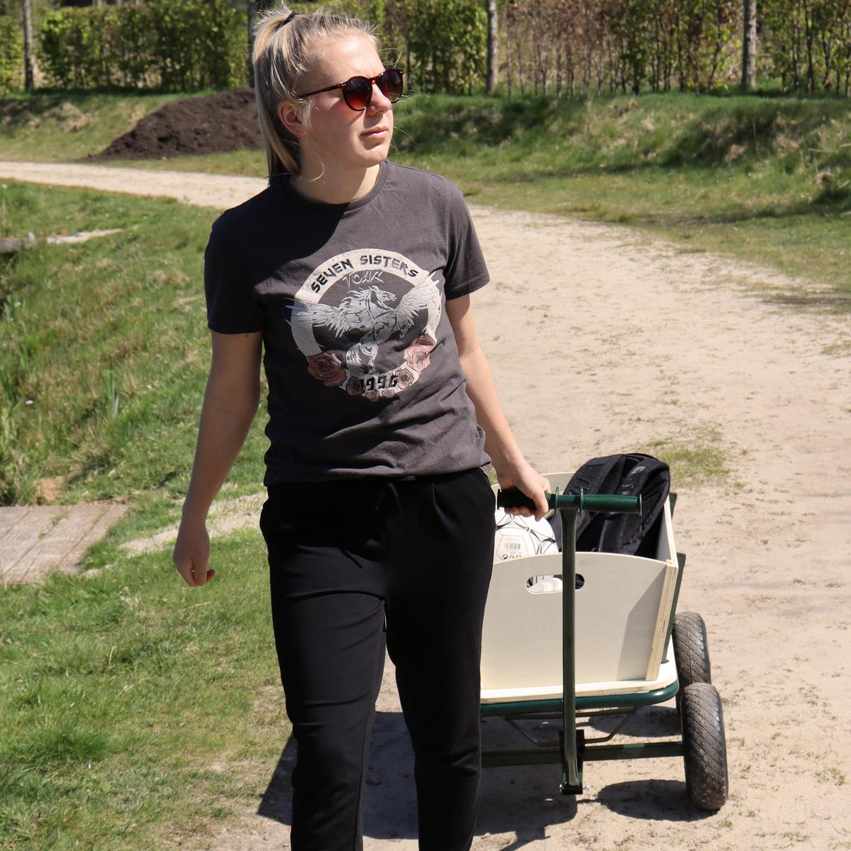 Bollerwagen S030.190.00 - Braun/Grün, KONVENTIONELL, Holz/Metall (61/95/97cm) - Ambia Garden