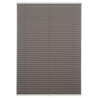 Plissee Free Hellgrau B: 100 Cm - Hellgrau, Basics, Textil (100/130cm) - Homeware