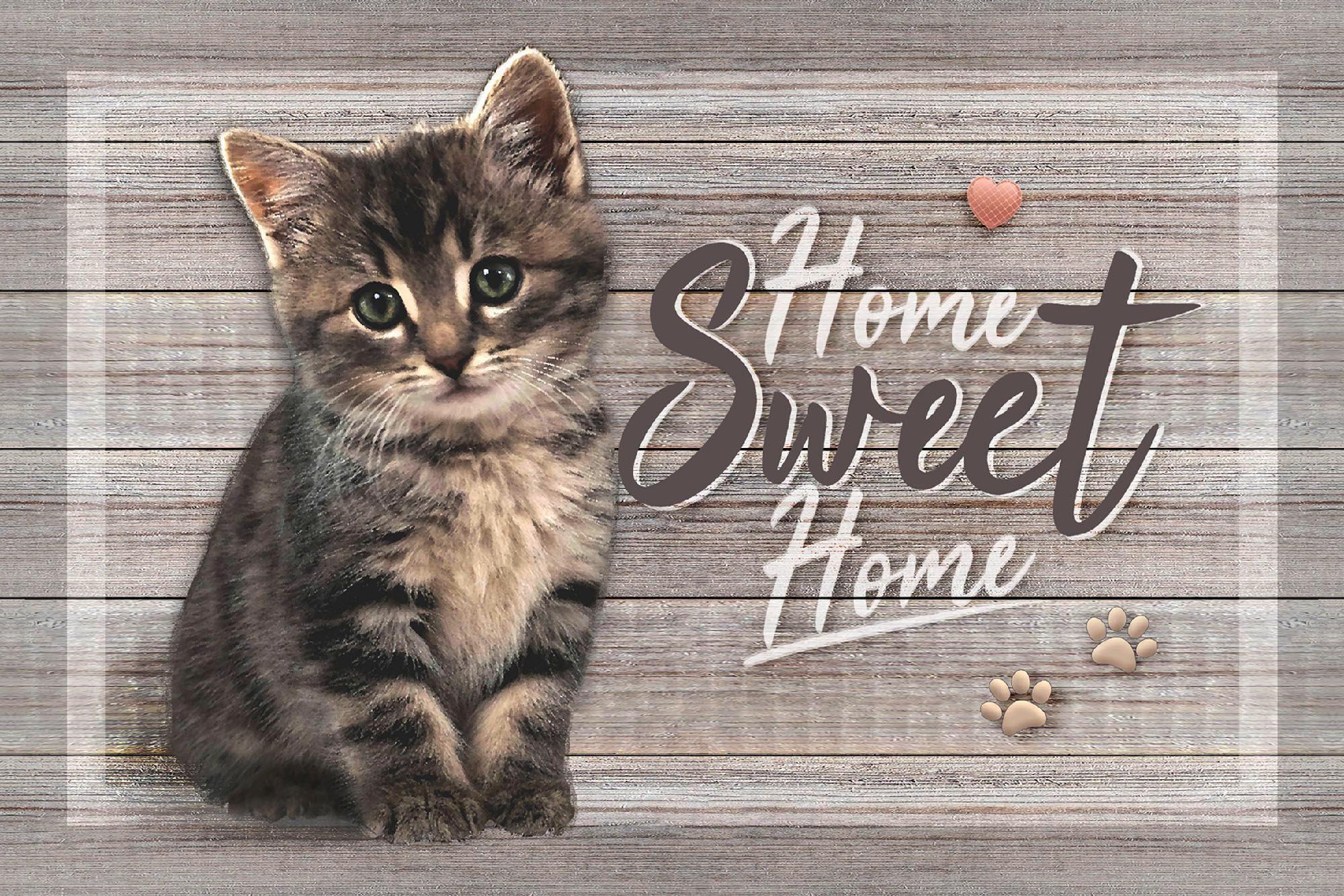 Fußmatte Luna 40x60 Cm Katzenmotiv Rutschfest - Multicolor, Basics, Textil (40/60cm)