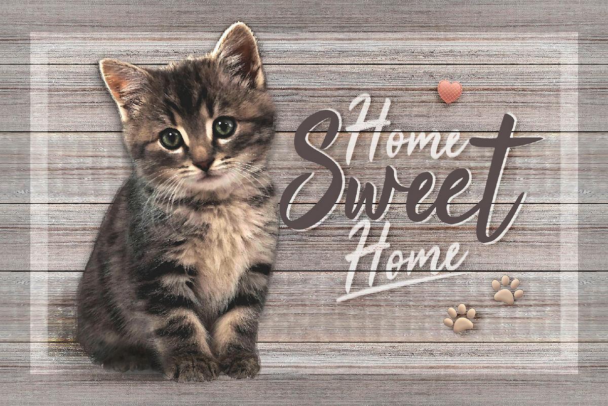 Fußmatte Luna 40x60 Cm Katzenmotiv Rutschfest - Multicolor, Basics, Textil (40/60cm)