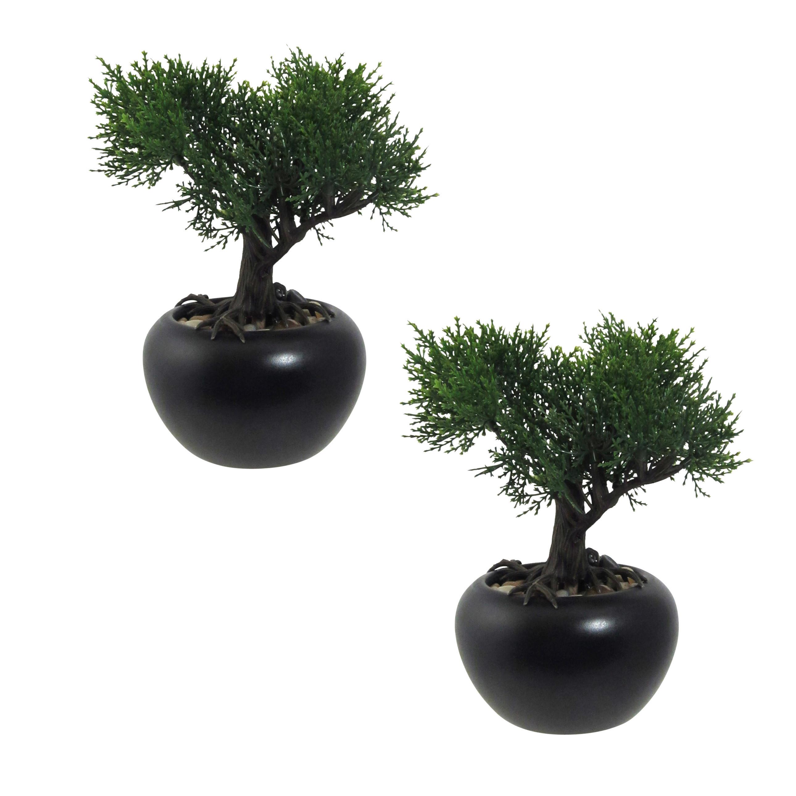 Kunstpflanze, Bonsai inkl. Topf, Schwarz, H: 19 cm - Schwarz/Grün, Design, Keramik/Kunststoff (19cm) - P & B
