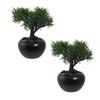 Kunstpflanze, Bonsai inkl. Topf, Schwarz, H: 19 cm - Schwarz/Grün, Design, Keramik/Kunststoff (19cm) - P & B