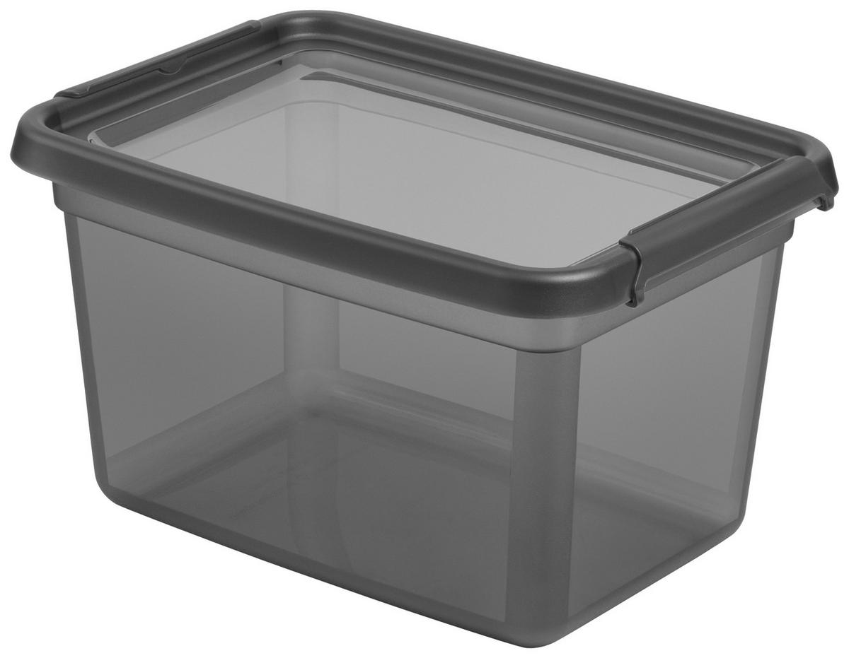 ÚLOŽNÝ BOX BLACKY - CA. 15,5 L - priehľadné/čierna, Modern, plast (28/38/22cm) - Mömax