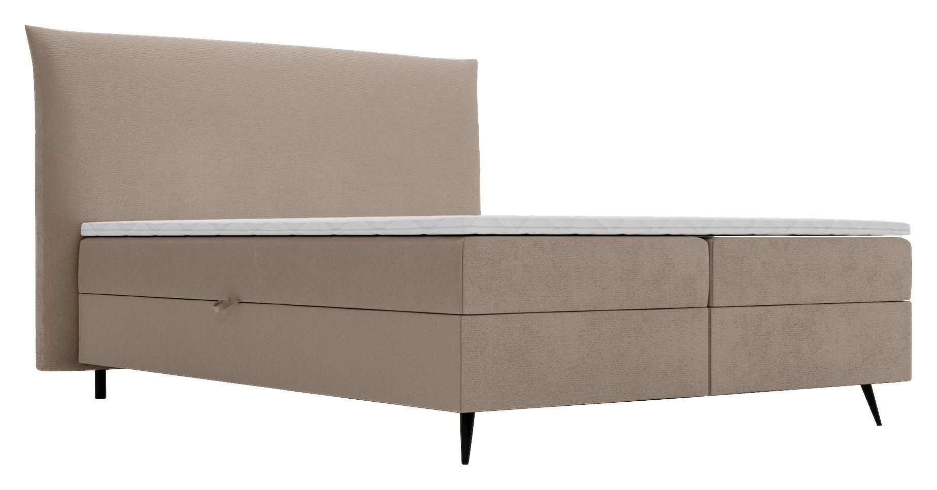Boxbett Foxy Braun