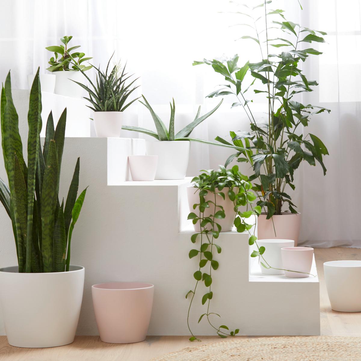 Obal na kvetináč Luisa - čierna/sivá, Modern, keramika (12/10cm) - Based