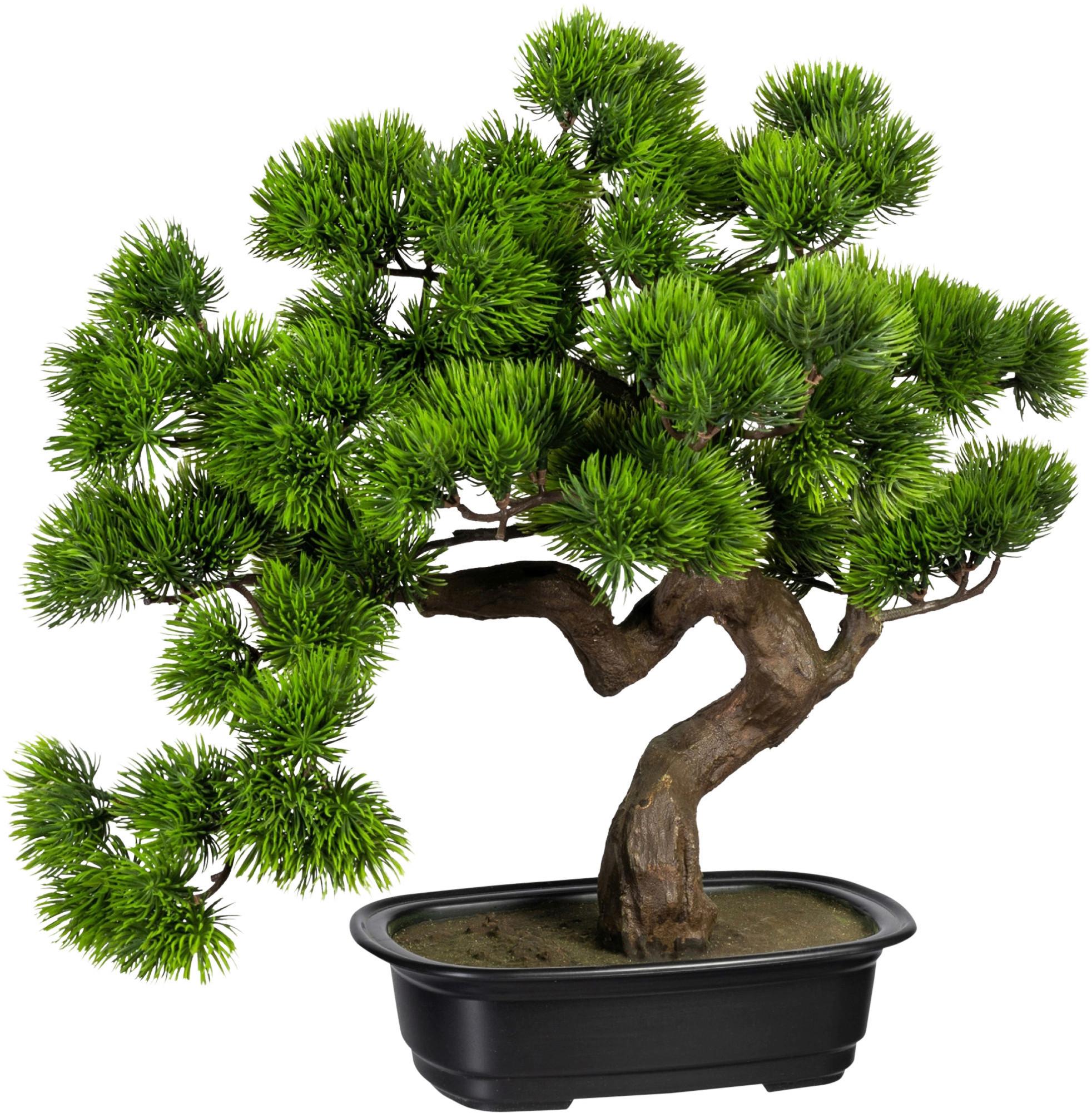 Kunstpflanze Bonsai inkl. Topf D: 22 cm - Schwarz/Braun, Design, Kunststoff (40cm) - P & B
