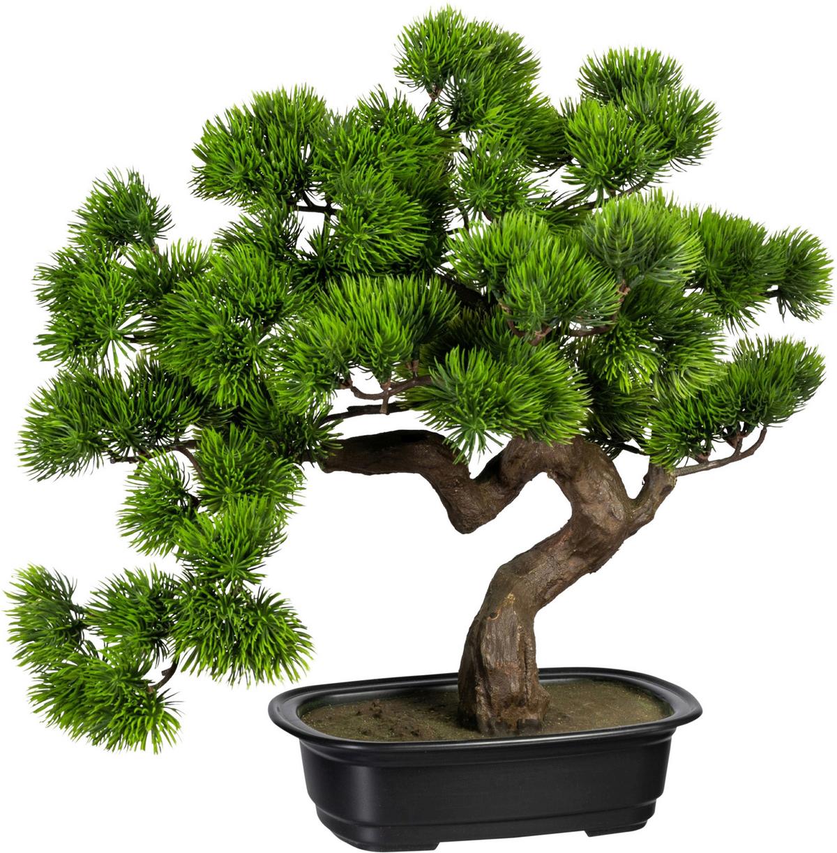 Kunstpflanze Bonsai Inkl. Topf D: 22 Cm - Schwarz/Braun, Design, Kunststoff (40cm) - P & B