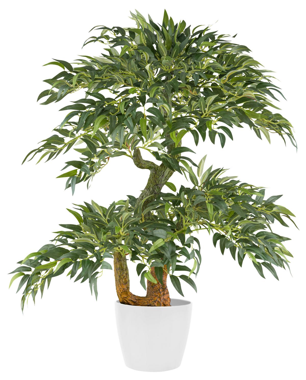 Umelá rastlina RUCUS, výška 80cm - hnedá/čierna, Konventionell, plast (14,5/80cm) - Mömax