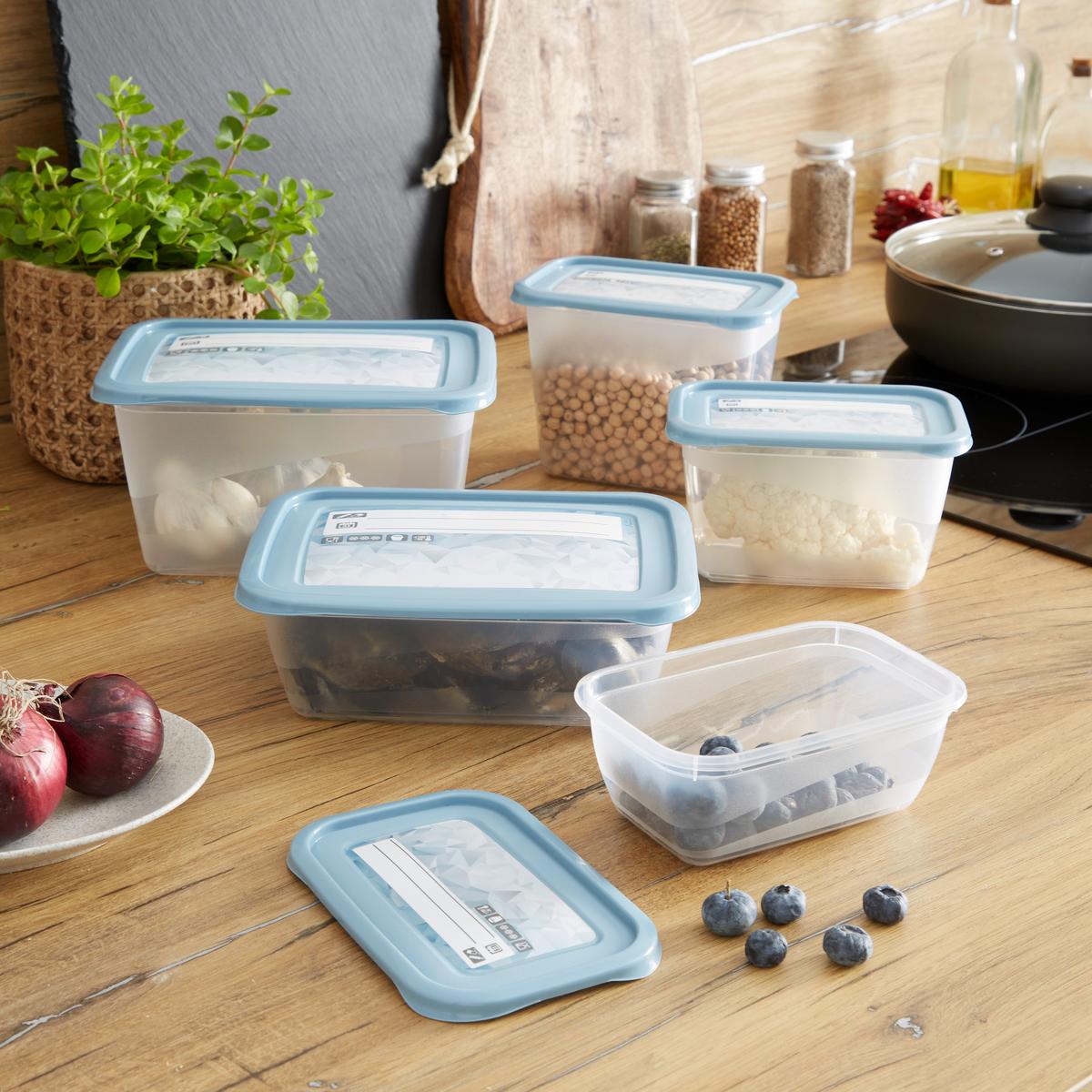 Gefrierdose 5er-Set Mia ca. 0,5 L - Blau/Weiß, KONVENTIONELL, Kunststoff (15,5/10,5/6cm)