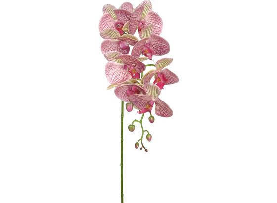 Umelá Rastlina Sissi - lila/zelená, Konvenčný, kov/plast (87cm) Umelá Rastlina Sissi - lila/zelená, Konvenčný, kov/plast (87cm)