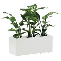 Blumenkasten Weiß B: 99,5 cm - Weiß, Basics, Kunststoff (99,5/39,5/39,5cm)