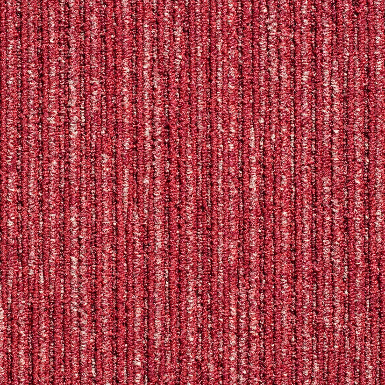 Teppichfliese Rot Ambition 50x50 Cm Florhöhe 3 Mm