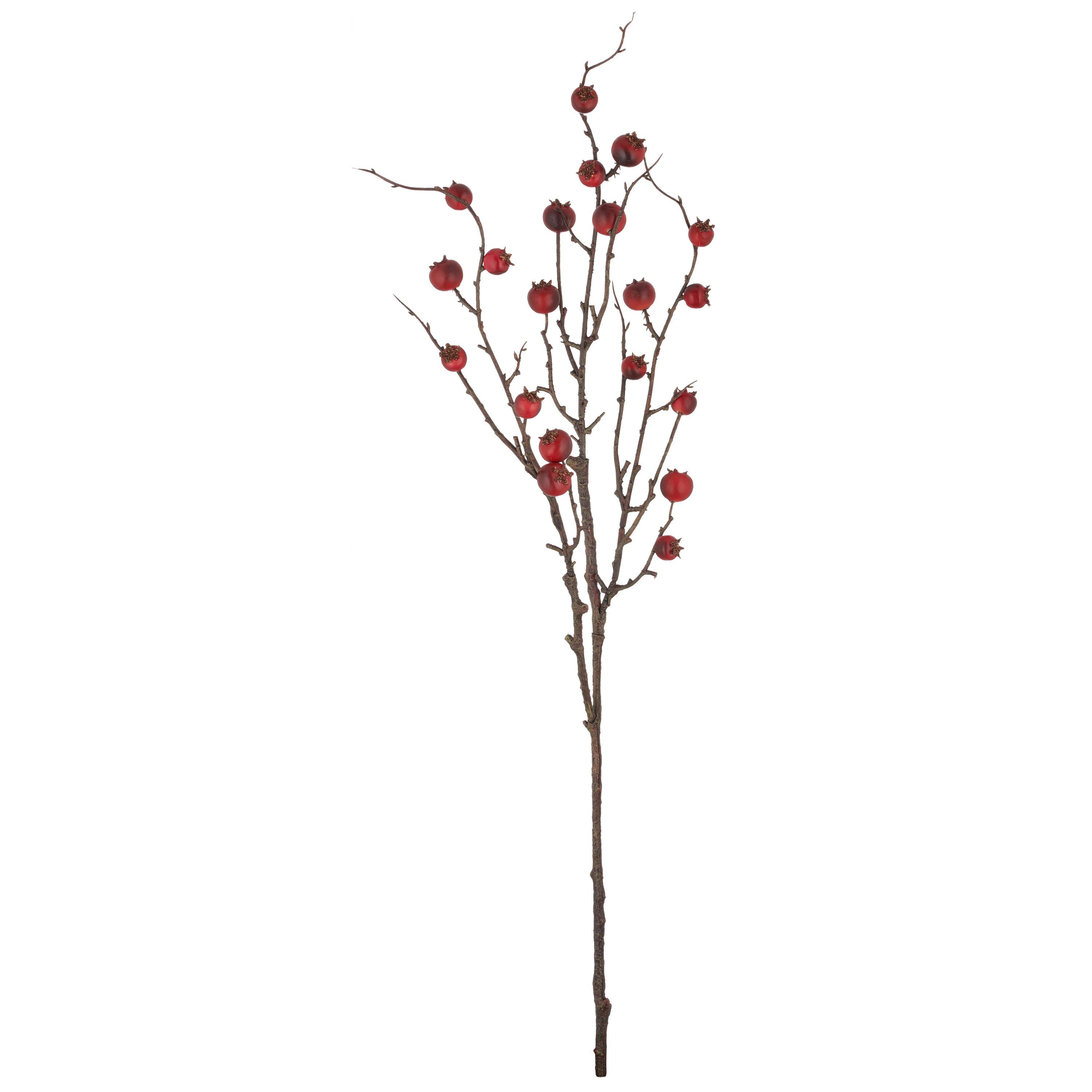 Umelá rastlina HAGENBUTTENZWEIG I - hnedá/červená, Basics, plast (86cm) - Mömax