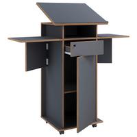 PULT SALIA L - dub medový/antracitová, Design, kompozitné drevo (122,8/43,6/106,6cm) - P & B