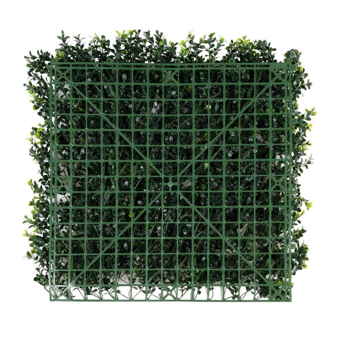 Wandverkleidung Kunstpflanze - Dunkelgrün, Trend, Kunststoff (50/50cm) - FloorDirekt