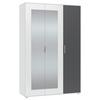 Drehtürenschrank Mit Spiegel 135cm Jan Weiß/anthrazit - Anthrazit/Weiß, Trend, Glas/Holzwerkstoff (135/210/52cm)
