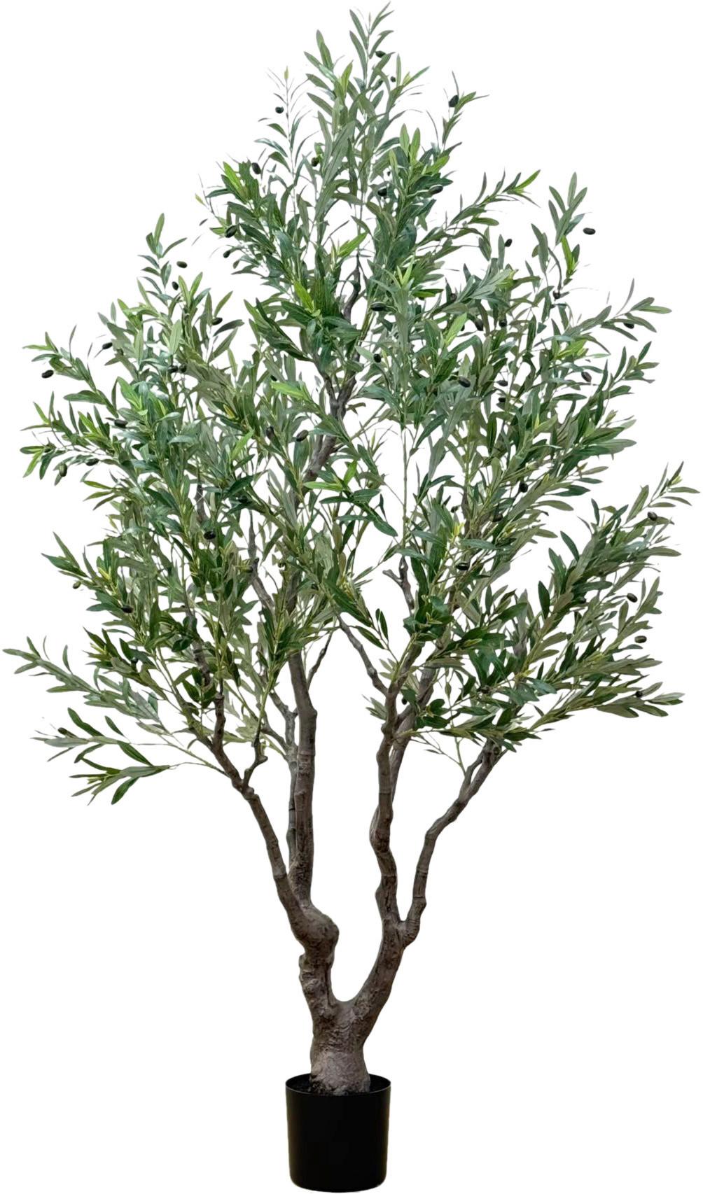 Umělá rostlina OLIVA květináč Ø/H: ca. 19/17,5cm - olivově zelená, Lifestyle (220cm) - Mömax