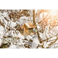 Vogelfuttersilo Garden, Kiefer BxHxT: 22x20x19,5 cm - Naturfarben, Basics, Holz (22/20/19,5cm) - Windhager