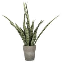 Umělá rostilna Sanseveria, V: 85cm - šedá/zelená, Basics, plast (85cm)