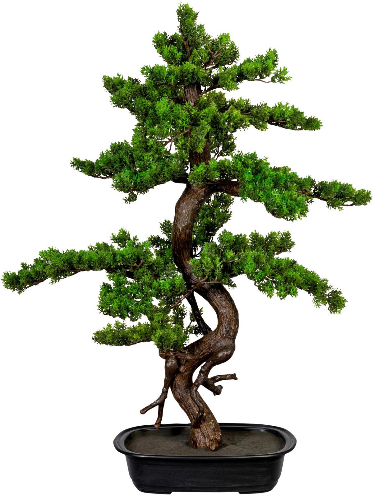 Kunstpflanze Bonsai Braun/Grün/Schwarz, 85 cm - Schwarz/Braun, Design, Kunststoff (85cm) - P & B