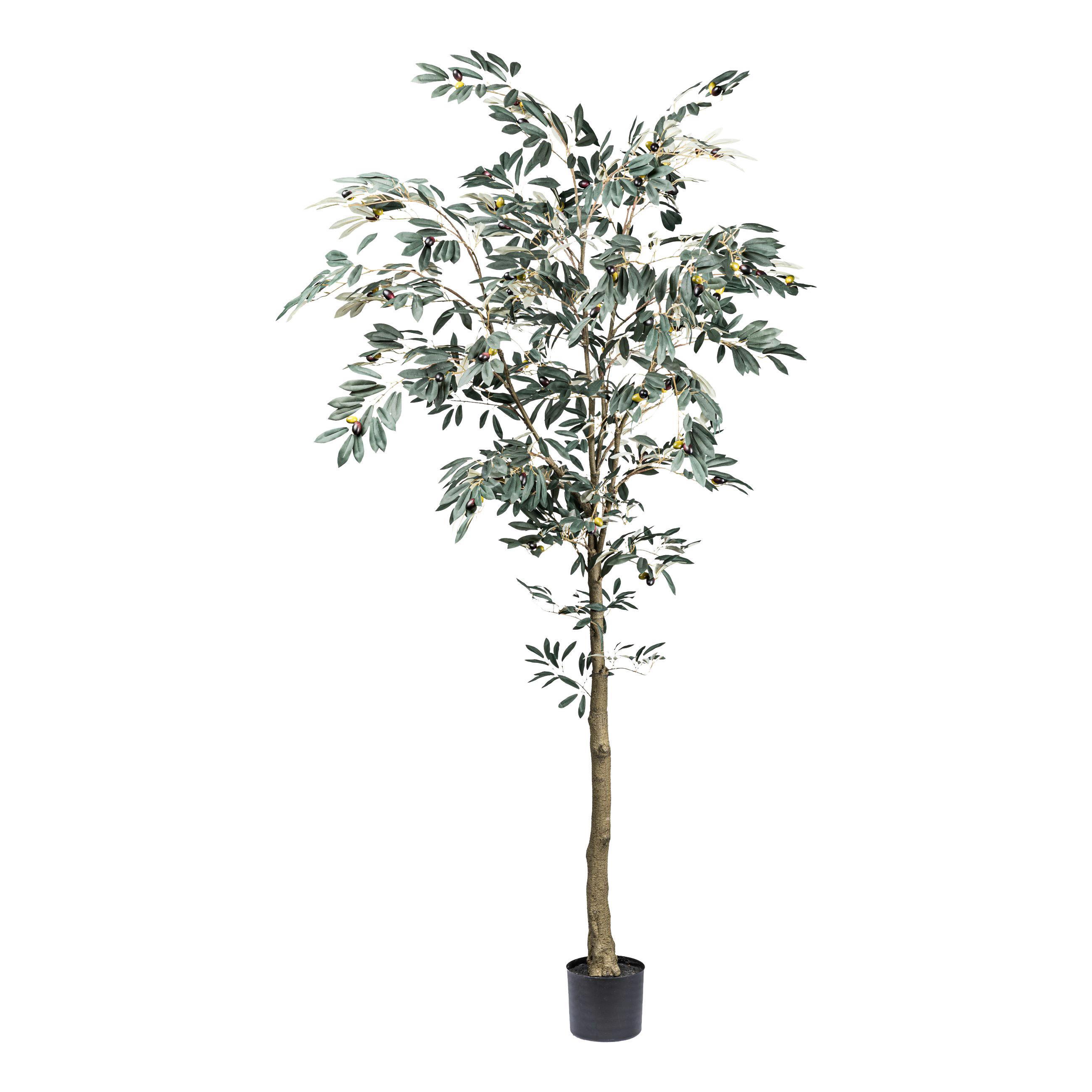 Kunstpflanze Grünpflanze H: 210 cm - Schwarz/Braun, Design, Kunststoff (210cm) - P & B