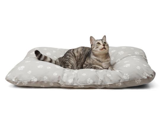 Polštář Pro Zvířátko Pet - světle hnědá, textil (60/80cm) - Mömax modern living Polštář Pro Zvířátko Pet - světle hnědá, textil (60/80cm) - Mömax modern living