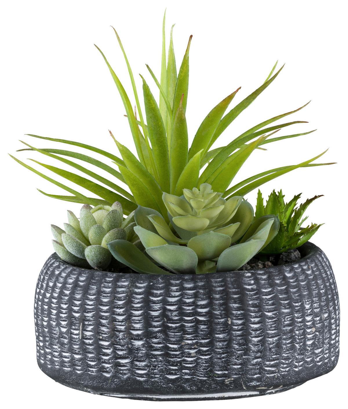 Kunstpflanze Sukkulenten Anthrazit/Grün, 18 cm - Anthrazit/Grün, Design, Keramik/Kunststoff (18cm) - P & B