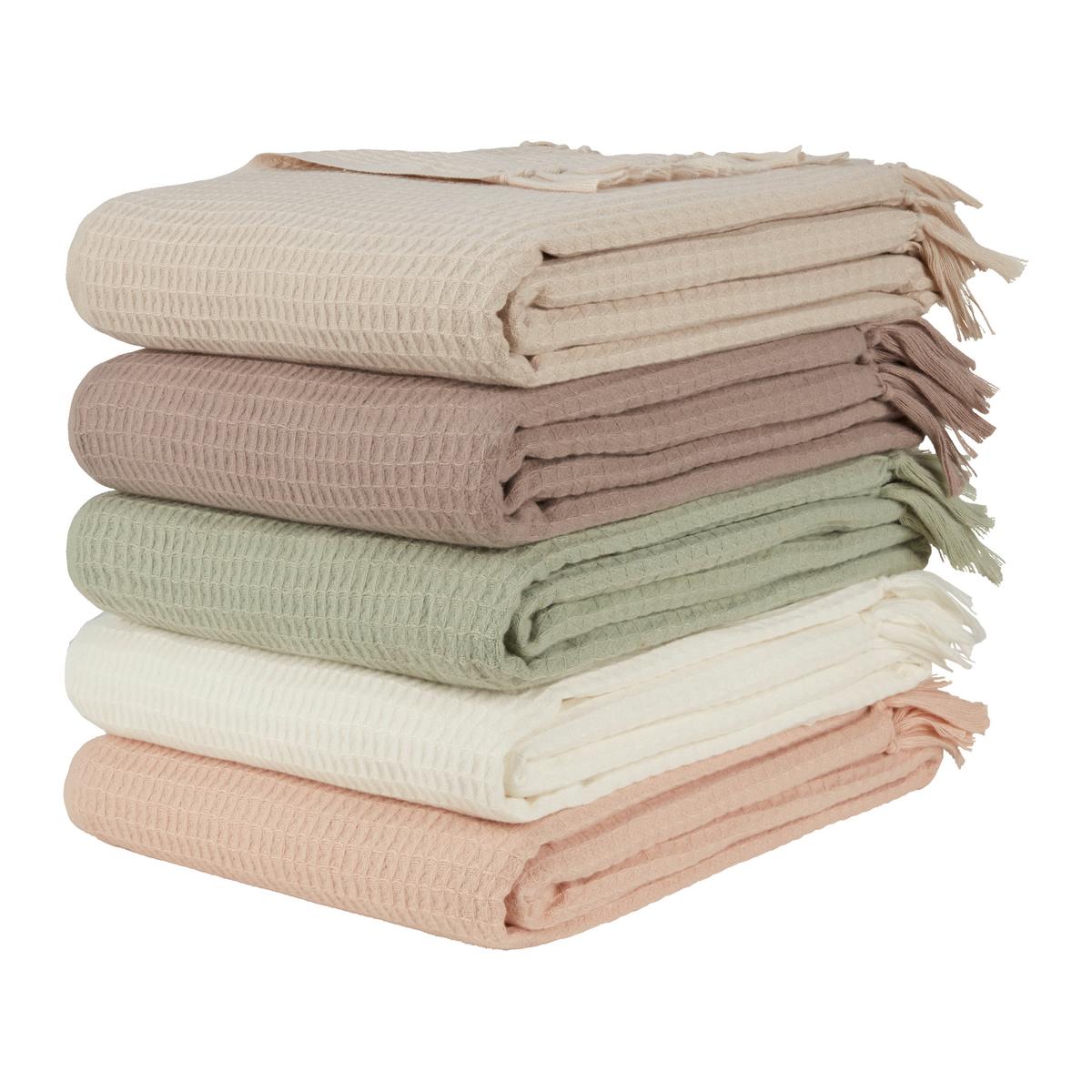 Deka Susa, 140/180cm, krémová - krémová, Moderní, textil (140/180cm) - Modern Living