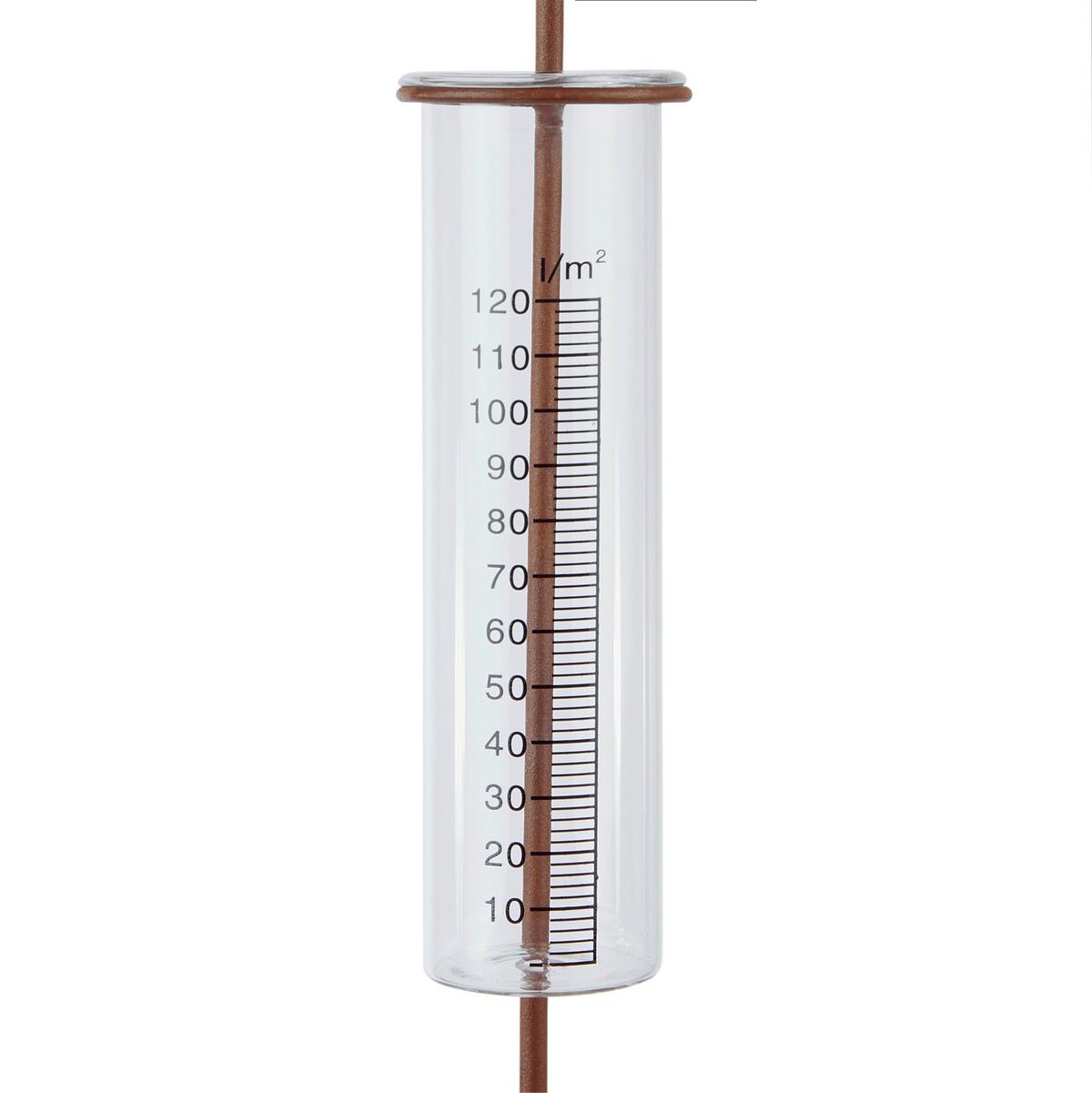 Gartenstecker Fiorina - Rostfarben, KONVENTIONELL, Metall (21/115cm) - Luca Bessoni