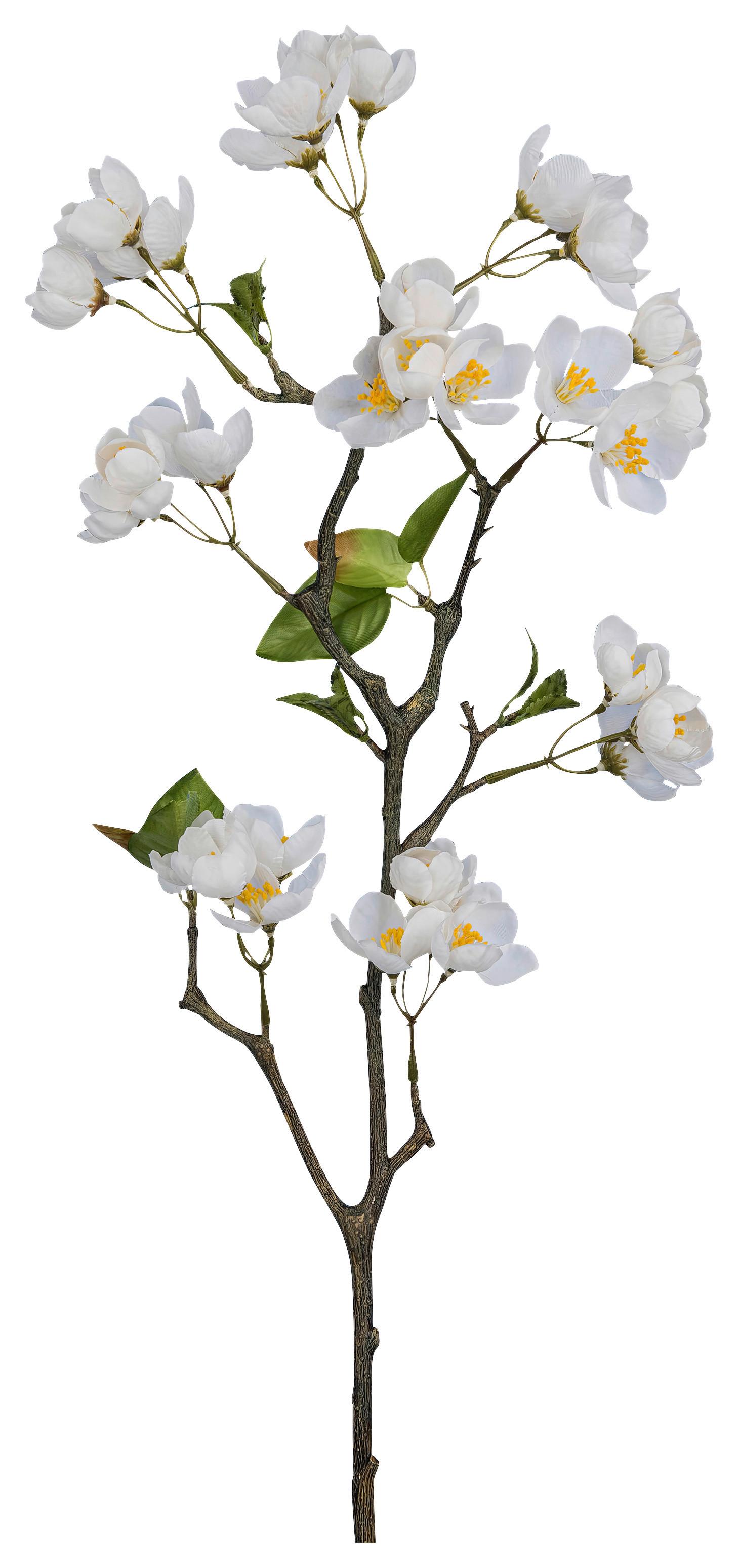 Umelá rastlina kvet jablone APFELBLÜTENZWEIG I -PAZ- - biela/zelená, Basics, kov/textil (83cm) - Mömax