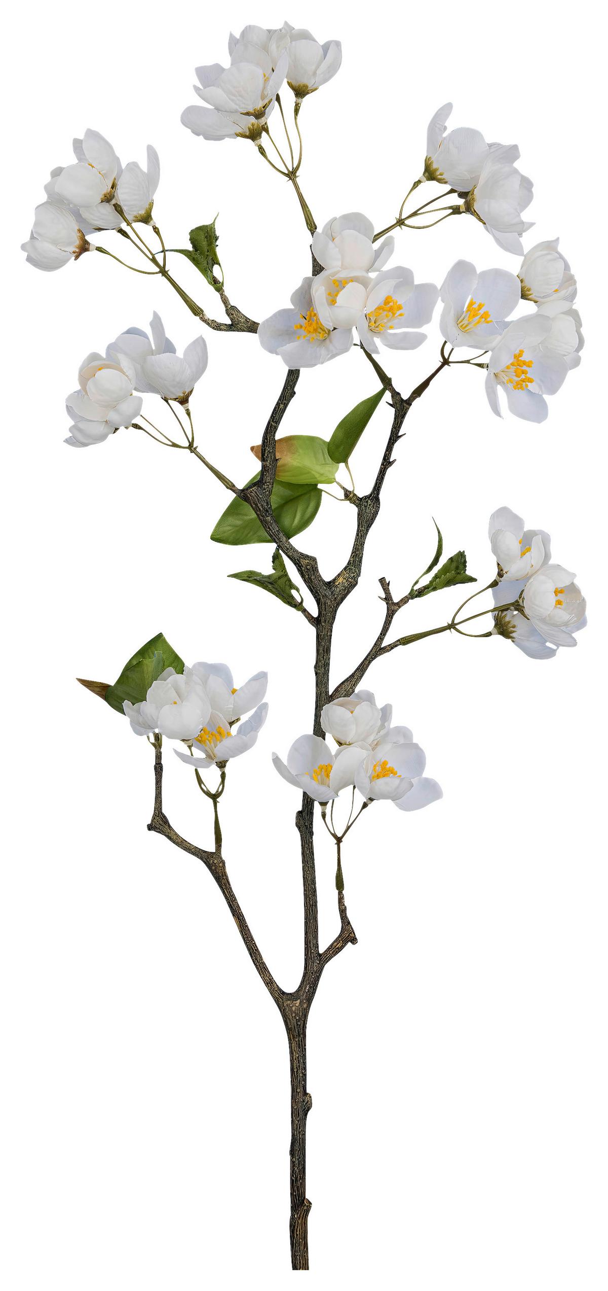 Umelá rastlina kvet jablone APFELBLÜTENZWEIG I -PAZ- - biela/zelená, Basics, kov/textil (83cm) - Mömax