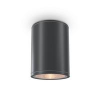 Außendeckenleuchte Bar - Graphitfarben, Trend, Metall (9/11,5cm) - MAYTONI