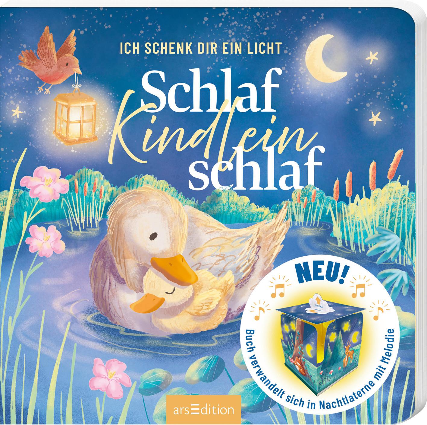 Soundbuch ab 6 Monaten - Multicolor, Basics, Papier (19,75/19,75/2,6cm)