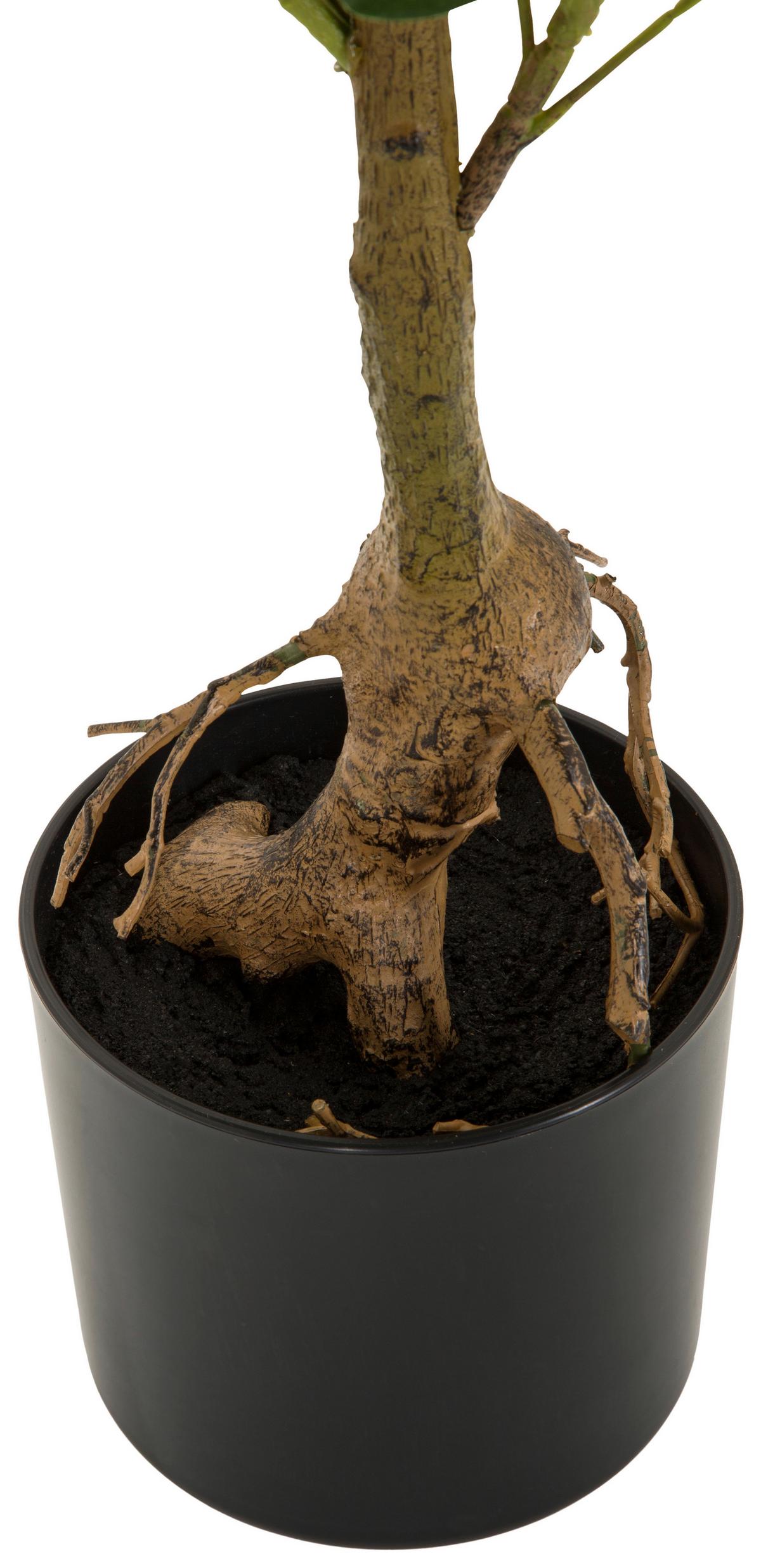 Kunstpflanze Schefflera - Schwarz/Braun, Basics, Kunststoff/Textil (38/100/30cm) - MID.YOU