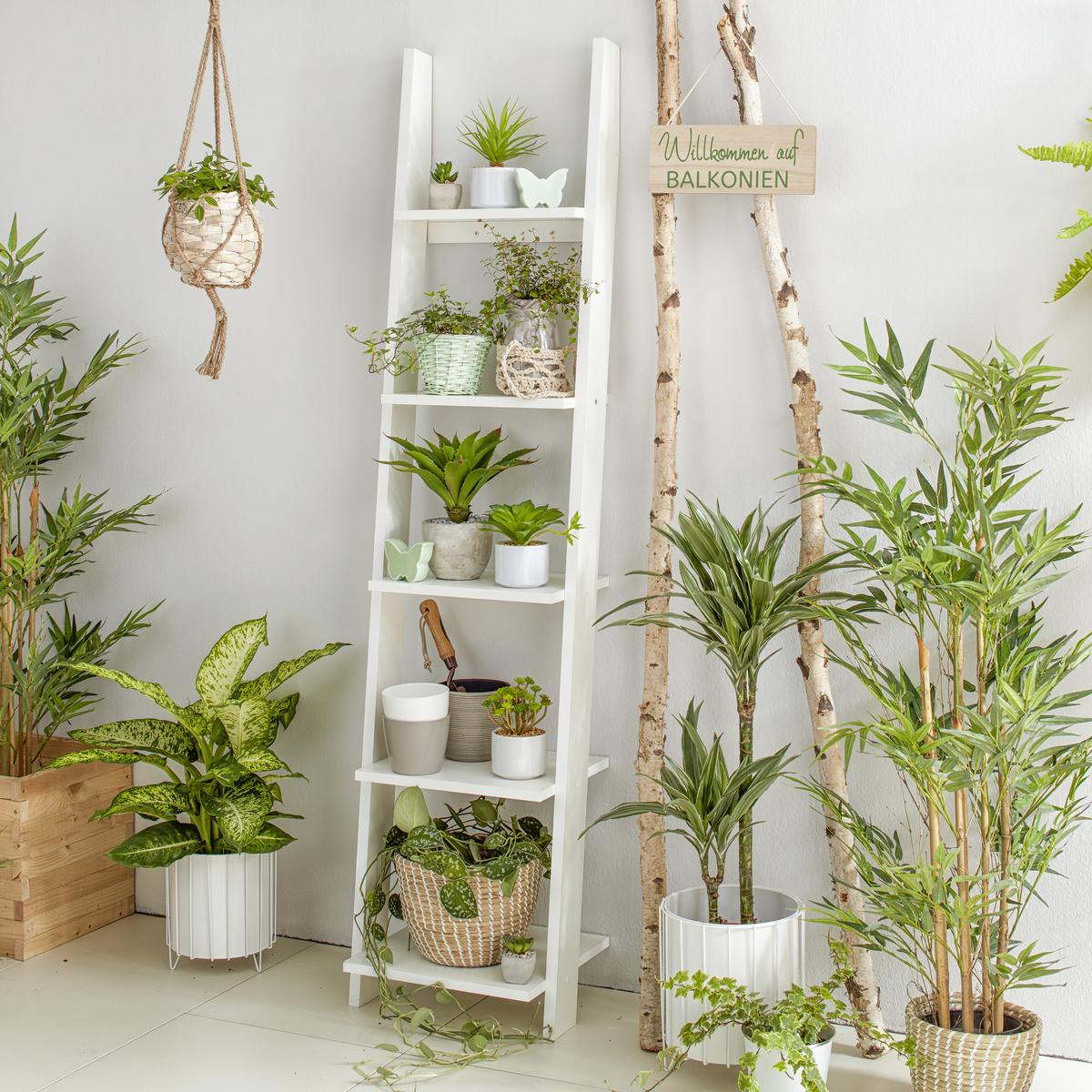 UMĚLÁ ROSTLINA NOAH - zelená/hnědá, plast (120cm) - Modern Living