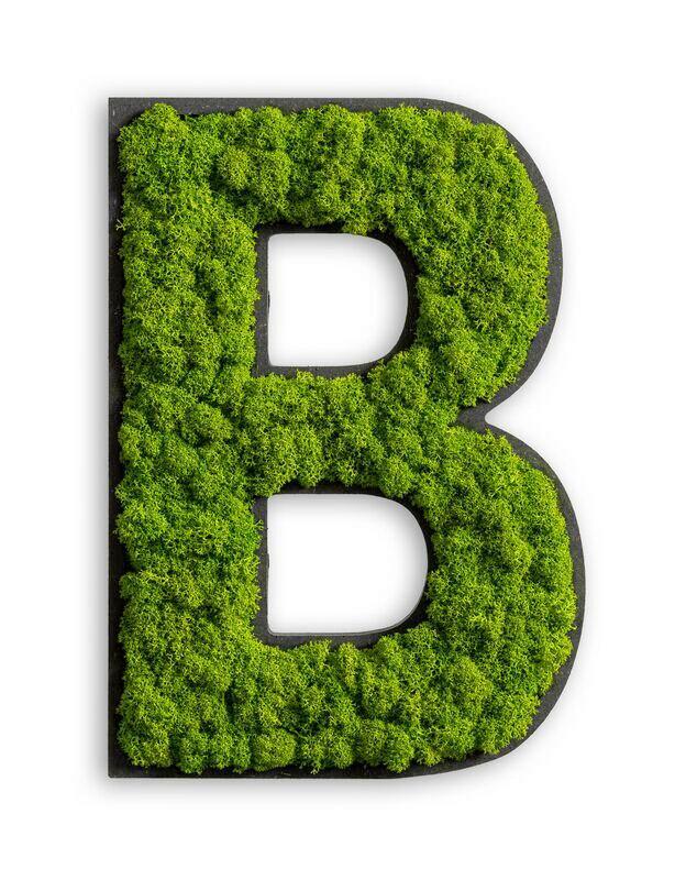 Moosbild Grün B: 25 cm - Schwarz/Grün, Basics, Naturmaterialien/Holz (12-20/25/3,5cm)