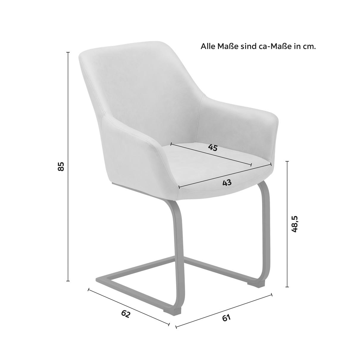 Židle PRIA koňaková - černá/koňaková, Moderní, kov/dřevo (61/85/62cm) - Bessagi Home