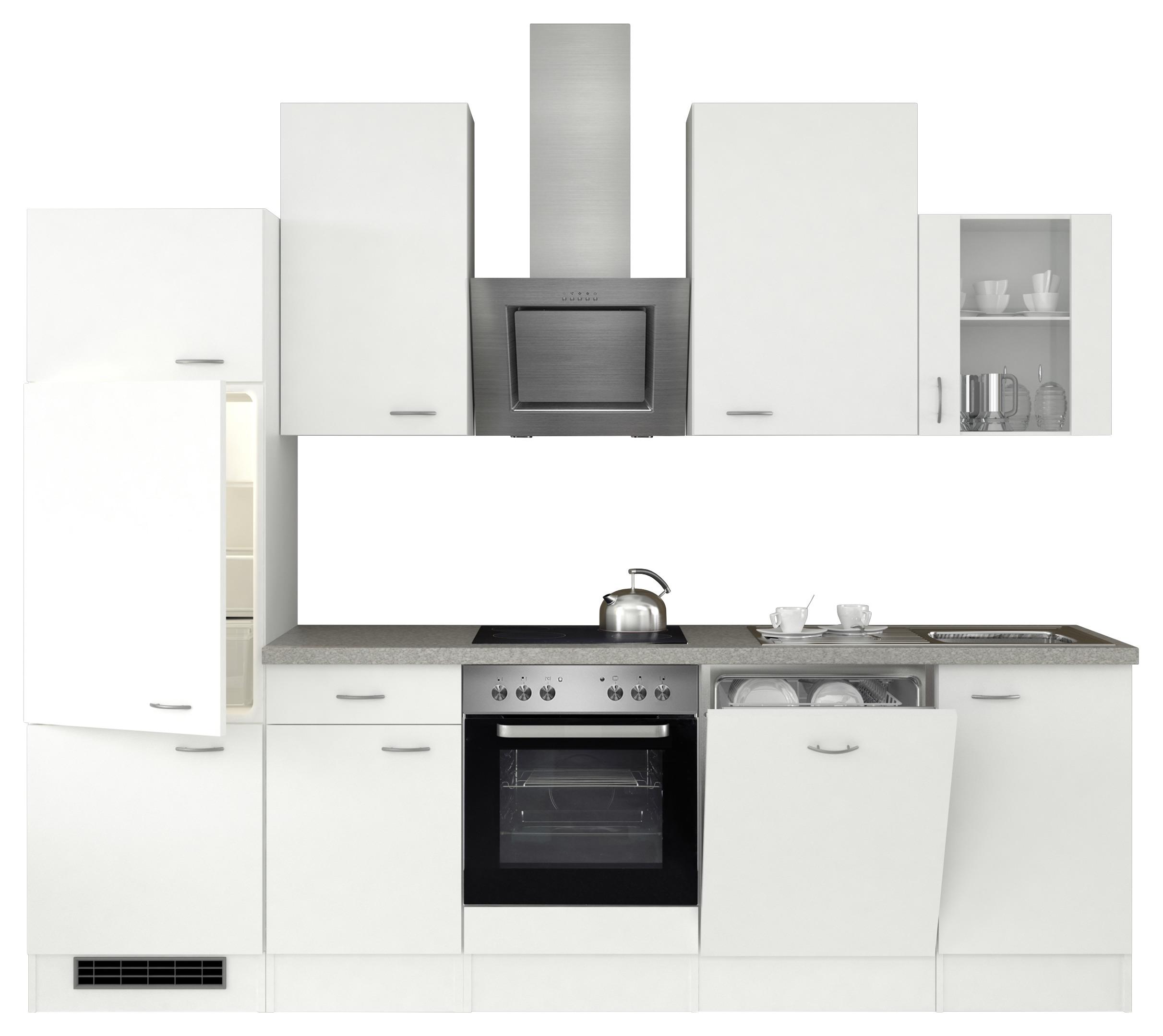 Küchenzeile Wito mit Geräten 280 cm Weiß/Grau Modern - Hellgrau/Weiß, MODERN, Glas/Holzwerkstoff (280cm) - FlexWell