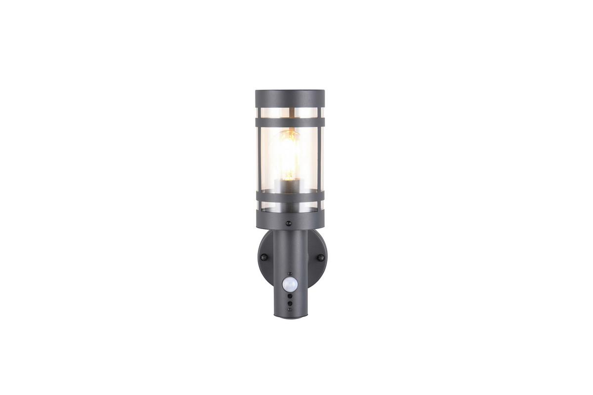 Außenwandleuchte R21719142 Paloma - Transparent/Anthrazit, Design, Kunststoff/Metall (34,5/11/16,5cm)