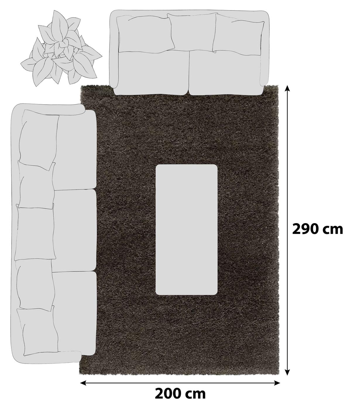 Hochflor Teppich Braun Naturfaser Fluffy 200x290 cm - Braun, Basics, Textil (200/290cm)
