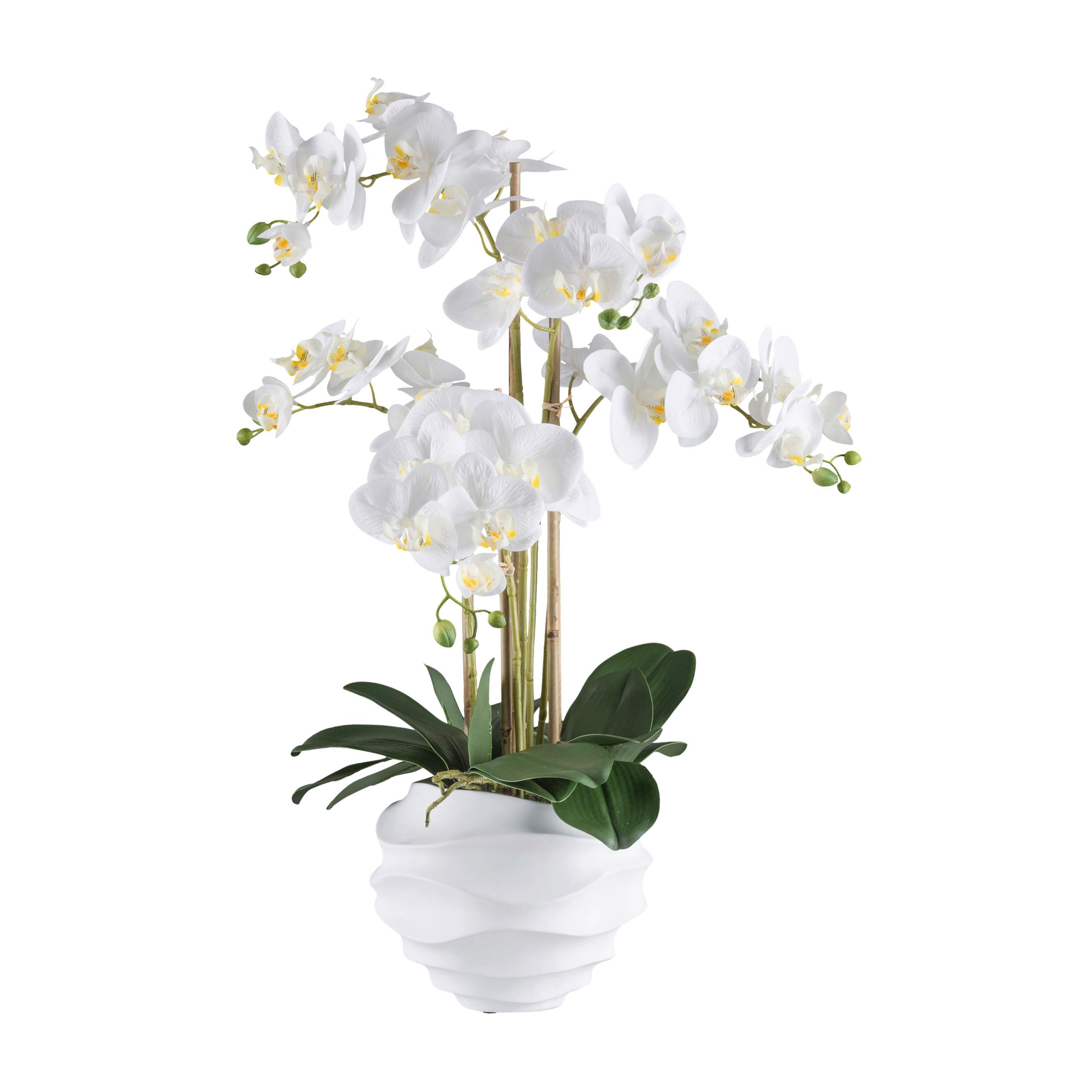 Kunstpflanze Orchidee H: 70 cm - Weiß/Grün, Design, Kunststoff (70cm) - P & B