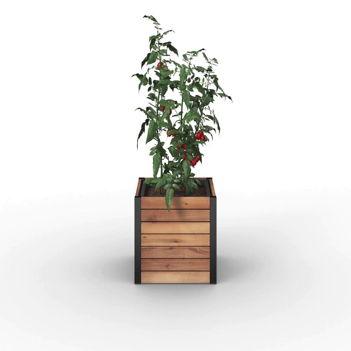 VYVÝŠENÝ ZÁHON CHRISTO 1 - černá/barvy akácie, Natur, dřevo/plast (32/34/32cm) - Mömax